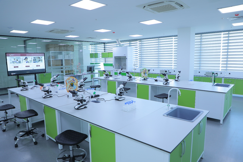 Modern Labs
